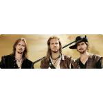 13-10-2016 - MCS Marketing - dArtagnan - banner.jpg